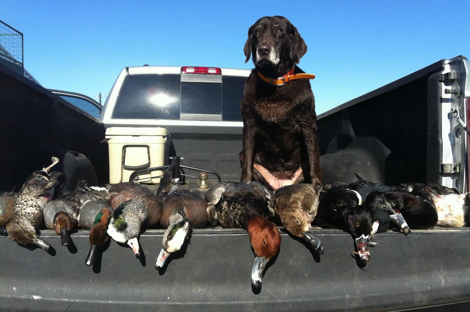 Duck hunting in East Texas